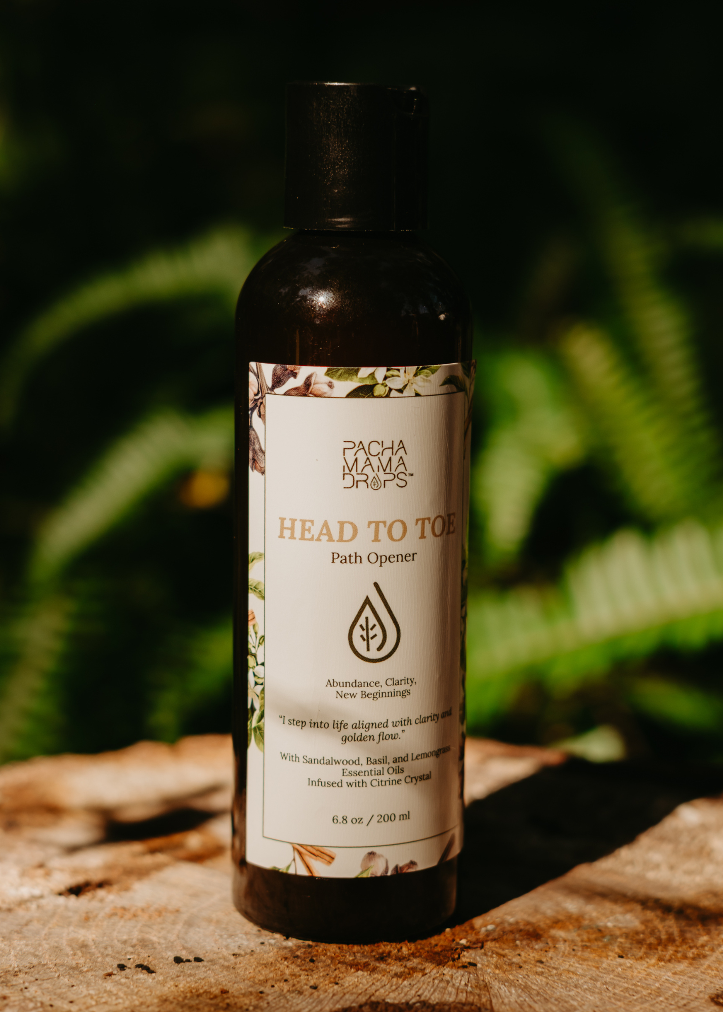 SACRED BATHS - Path Opener